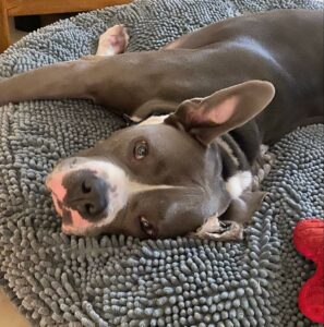 Riley laid on her bed.