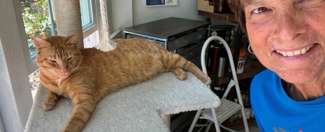 Valentine laying on the counter, mom standing beside.