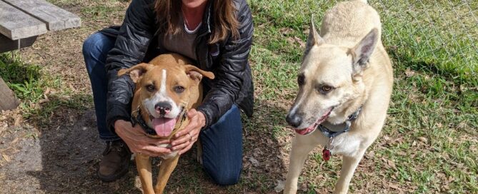 Xoe posing her adoption picture with new mom and canine sibling.