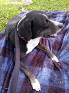 Kelly on her picnic blanket.