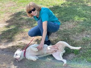 Millie laying on the grass having a belly rub by Judy.