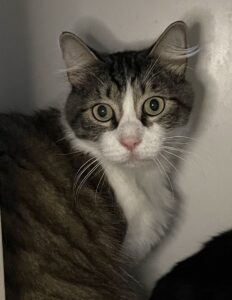 Obie pic in his hidey hole, big scared eyed.