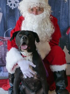 Xavier with Santa.