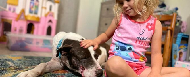 Harvey sitting beside Kora being pet by her.