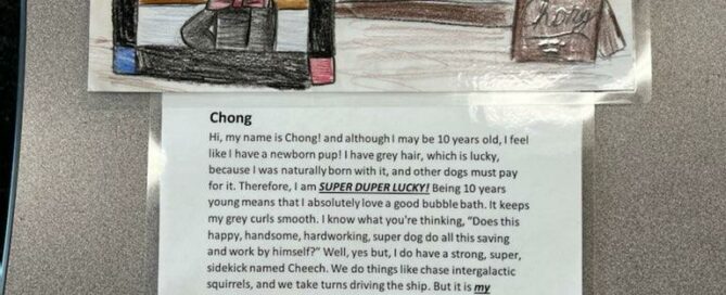 Pic and handwritten story of Chong.