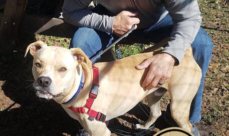 Lorenzo standing with his Woof Pack leader Dale.