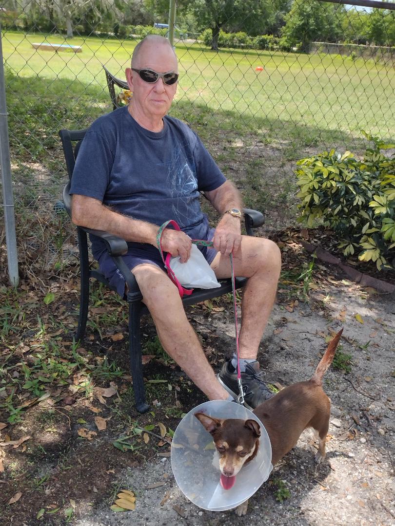 Potato (with a cone) standing beside his new dad who is sitting on the bench.