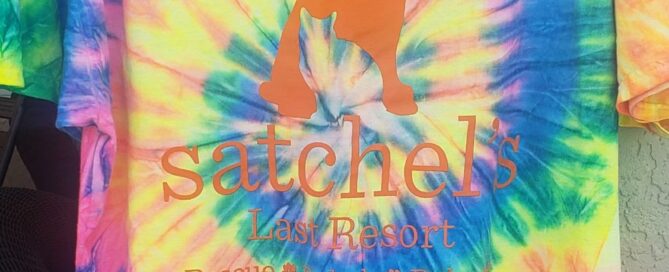 Satcbel's Tie-Dye t-shirt back view