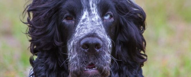 Facial view of Arthur