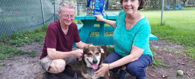 Cheech sitting in between his new mom and dad in the yard at Satchel's.