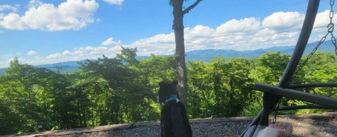 Cooper on vacation in Tennessee sitting looking out at the mountains..