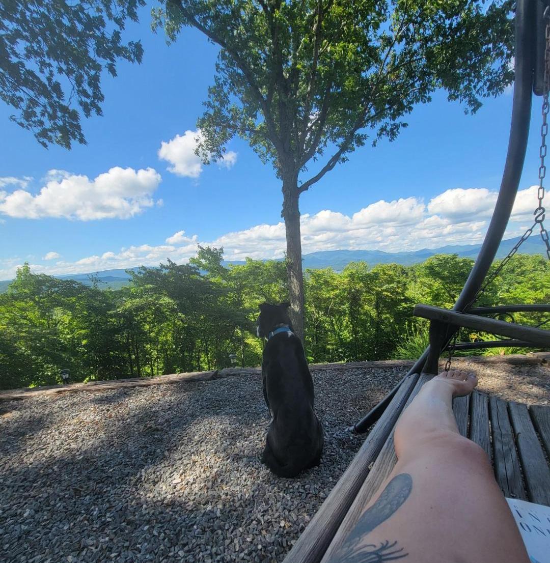 Cooper on vacation in Tennessee sitting looking out at the mountains..