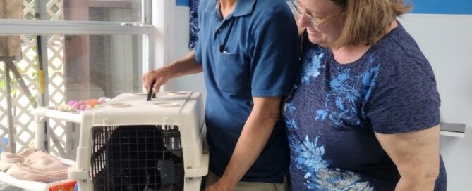 Eve in the crate, new mom and dad standing beside.