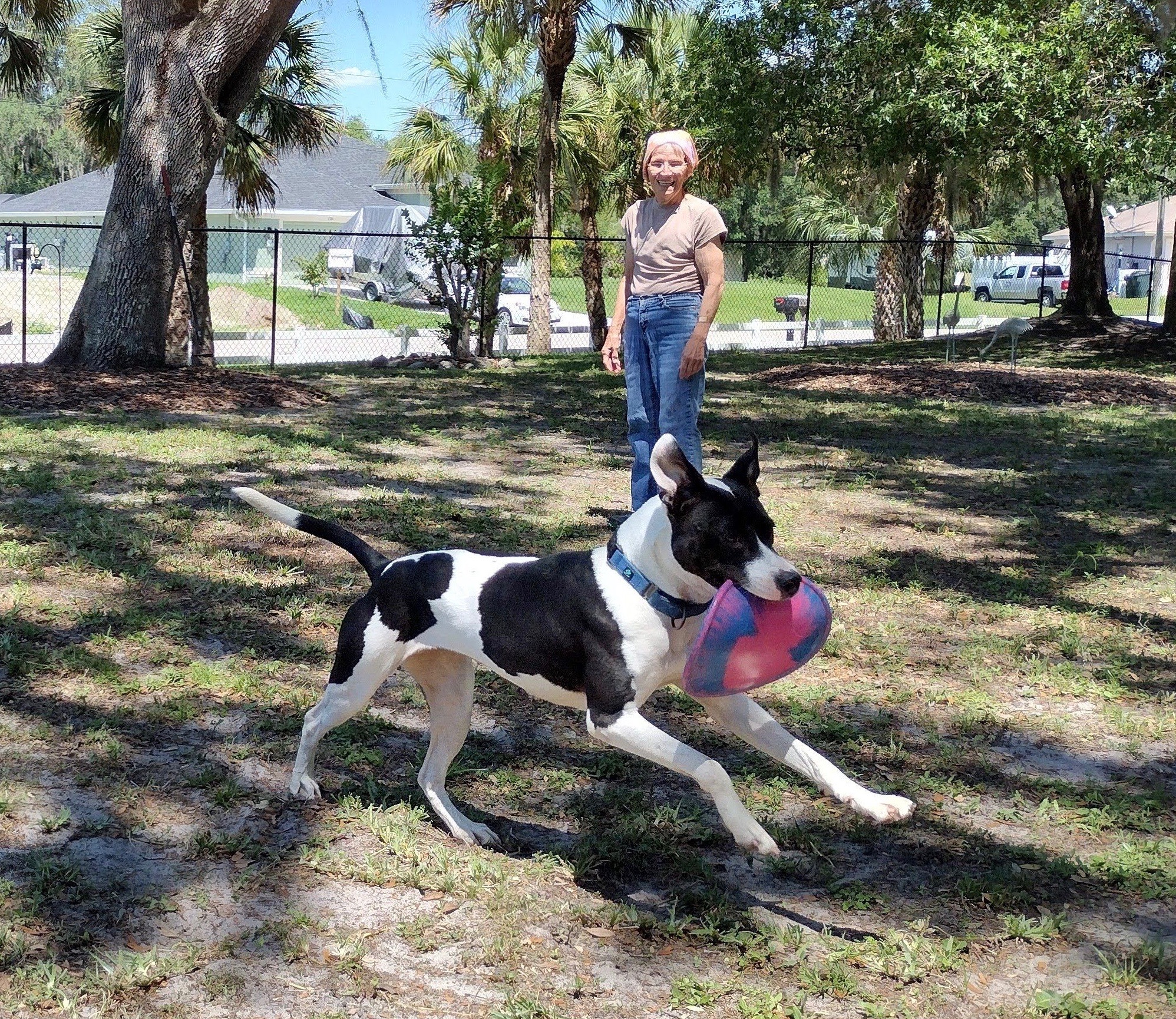 Kya and Joan playing Frisbee