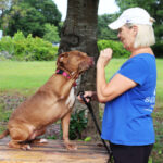 Nakoma giving paw for a treat from volunteer Gail.