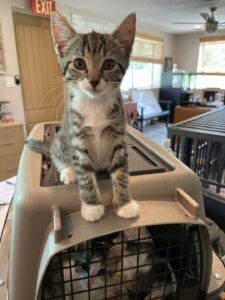 Nelson sitting on a crate.