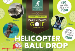 Helicopter Ball Drop Flyer