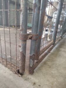 A Rusty kennel