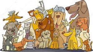 Cartoonish graphic of many dogs and cats.