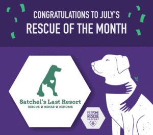 Flyer - congratulations to July's Rescue of the Month with Satchel's logo.