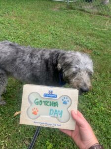 Chong with his "Gotcha day" card.