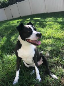 June sitting in her yard, all smiles.