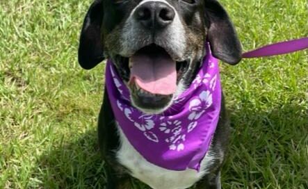 Kelly all smiles sitting wearing her bandana.