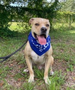 Lorenzo all smiles sporting his party bandana.