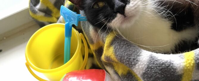 Marlee laying on a bed with beach toys beside her.