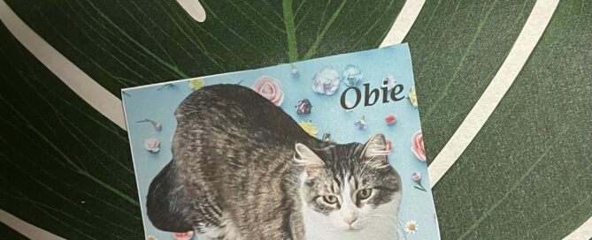 Obie picture on his sponsorship leaf.