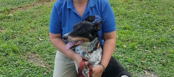 Ajax sitting with his new mom in the yard at Satchel's.