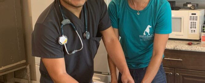 Dr. Wilson and Michal Anne holding a kitten on the table at Satchel's, preparing to give a rabies vaccine.