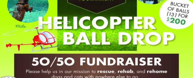 Helicopter Ball Drop flyer showing all details of the 50/50.