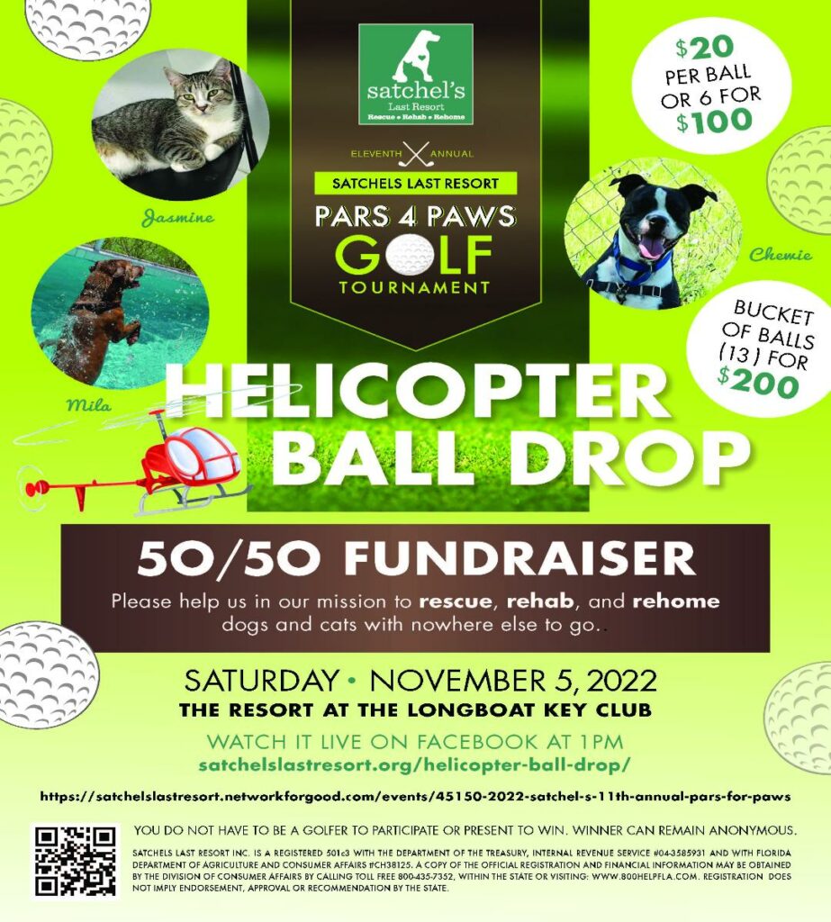 Helicopter Ball Drop flyer showing all details of the 50/50.