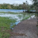 Flooding on the back property.