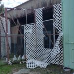 Broken trellis on the cat room entrance.