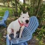 Mallick sitting on a lawn chair, looking at the camera.