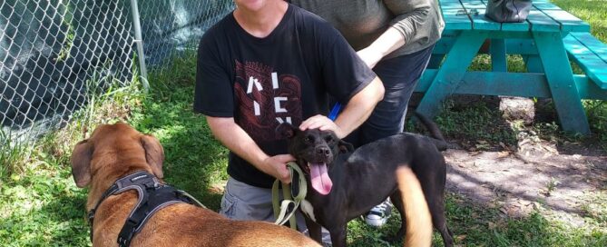 Piper with her new mom and dad and canine sibling in the yard at Satchel's.