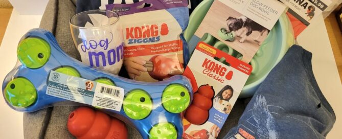 Picture of dog items in a basket - balls, Kong, bowl.