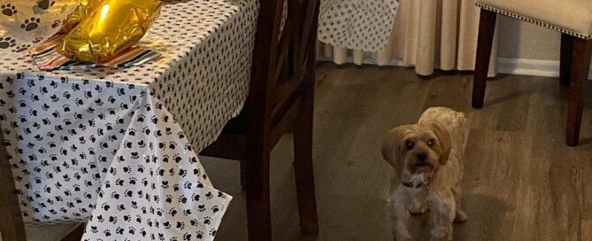 Zoey standing beside the table of party goodies.