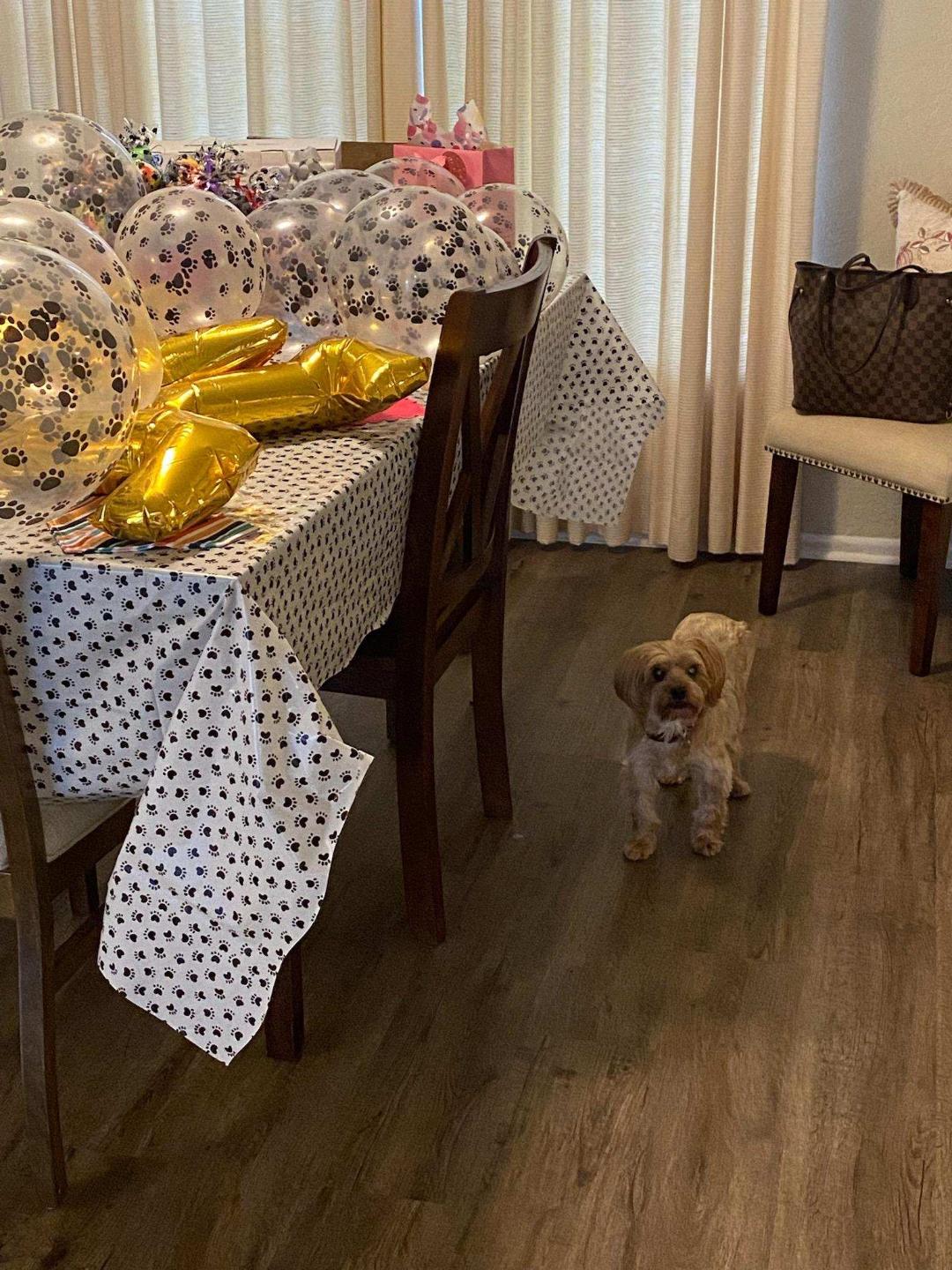 Zoey standing beside the table of party goodies.