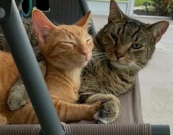 Giorni and Tyler on a lanai swing.