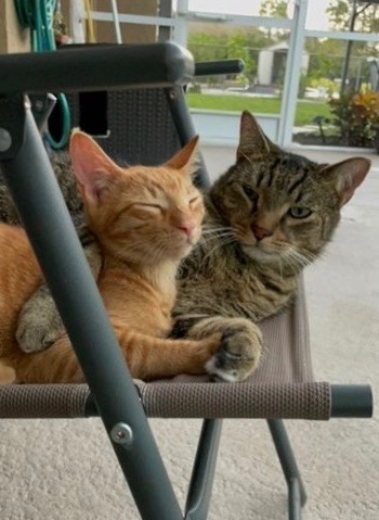 Giorni and Tyler on a lanai swing.