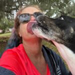 Kelly giving slobbering kisses to a volunteer.