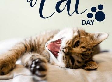 National Cat Day poster