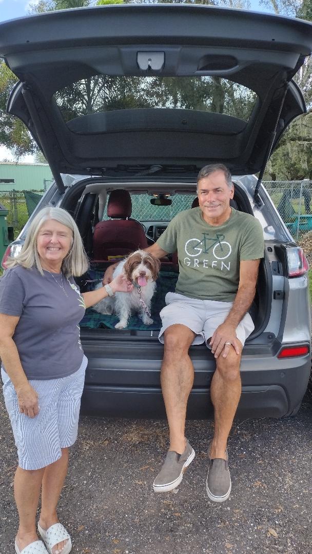 Nicki sitting in the back of an SUV, mom and dad by side petting her.