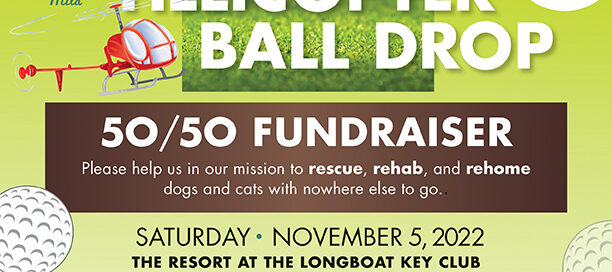 Helicopter Ball Drop flyer