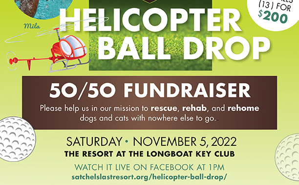 Helicopter Ball Drop flyer