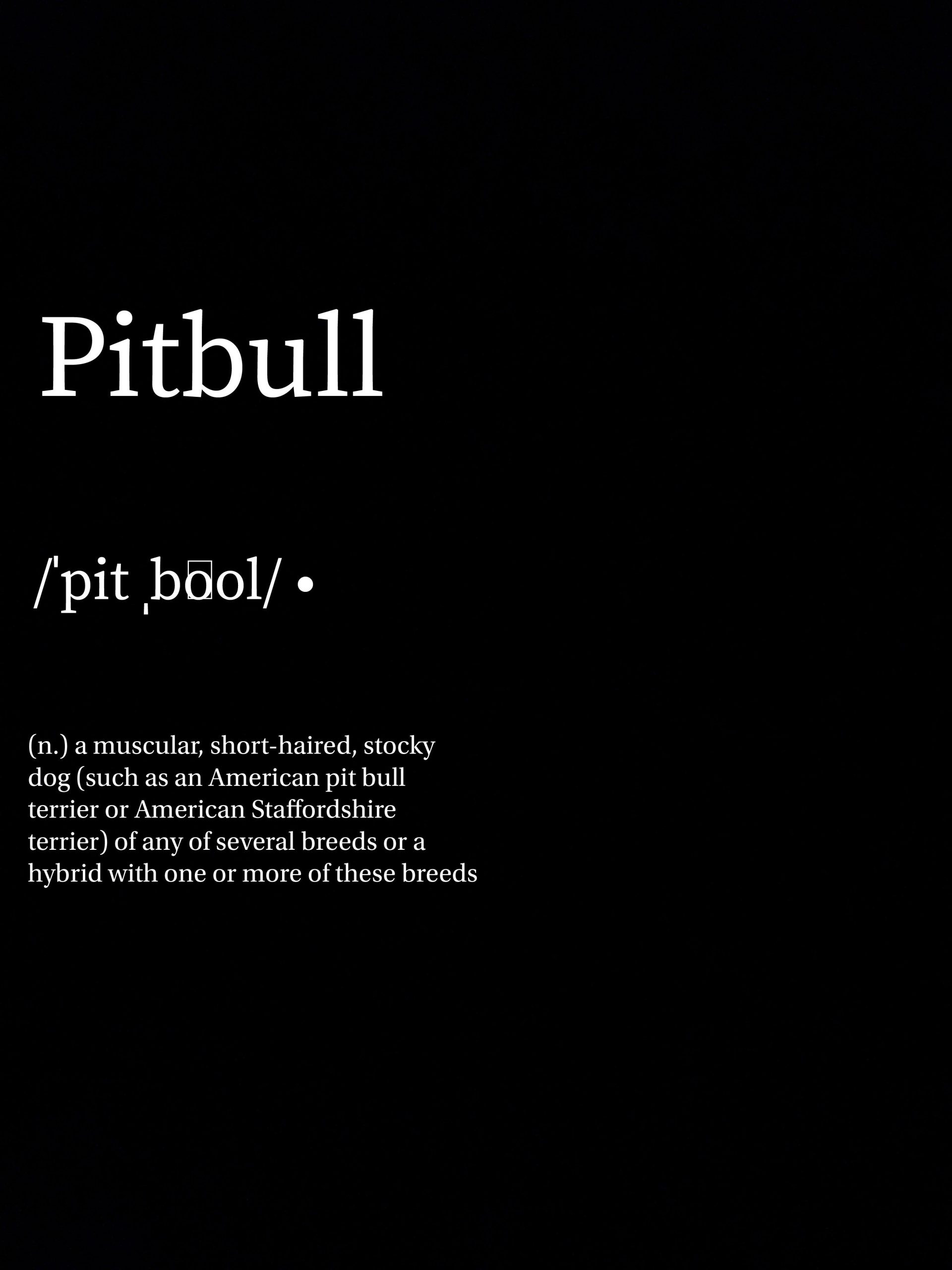 October is Pit bull Awareness Month! All month long we will be highlig