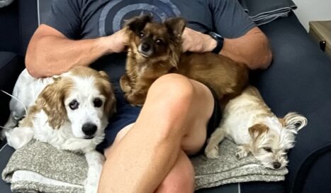 Princess on dad's lap with 2 canine siblings beside.